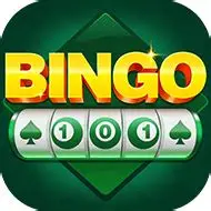 Bingo101 game preview image